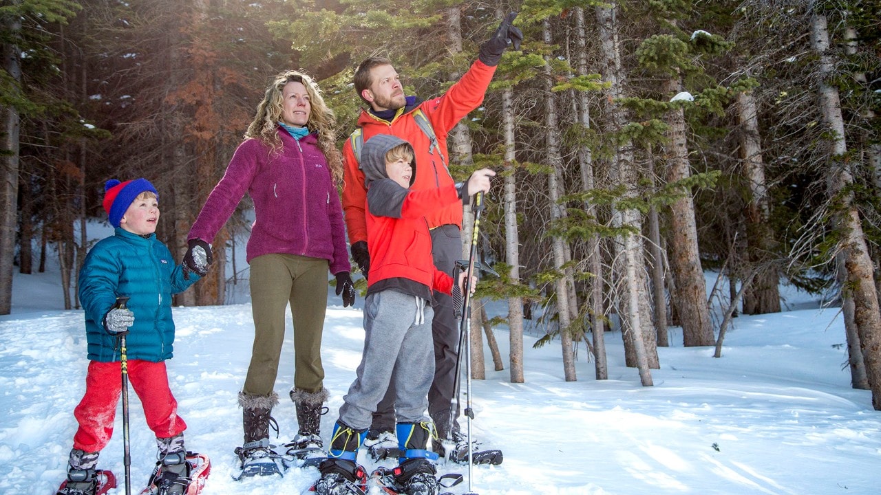 Family skiing in a forest
