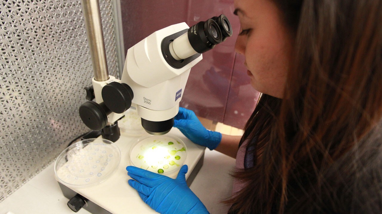 Femme devant un microscope